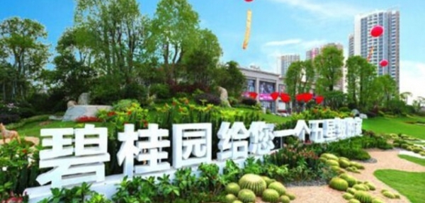 碧桂園集團(tuán)